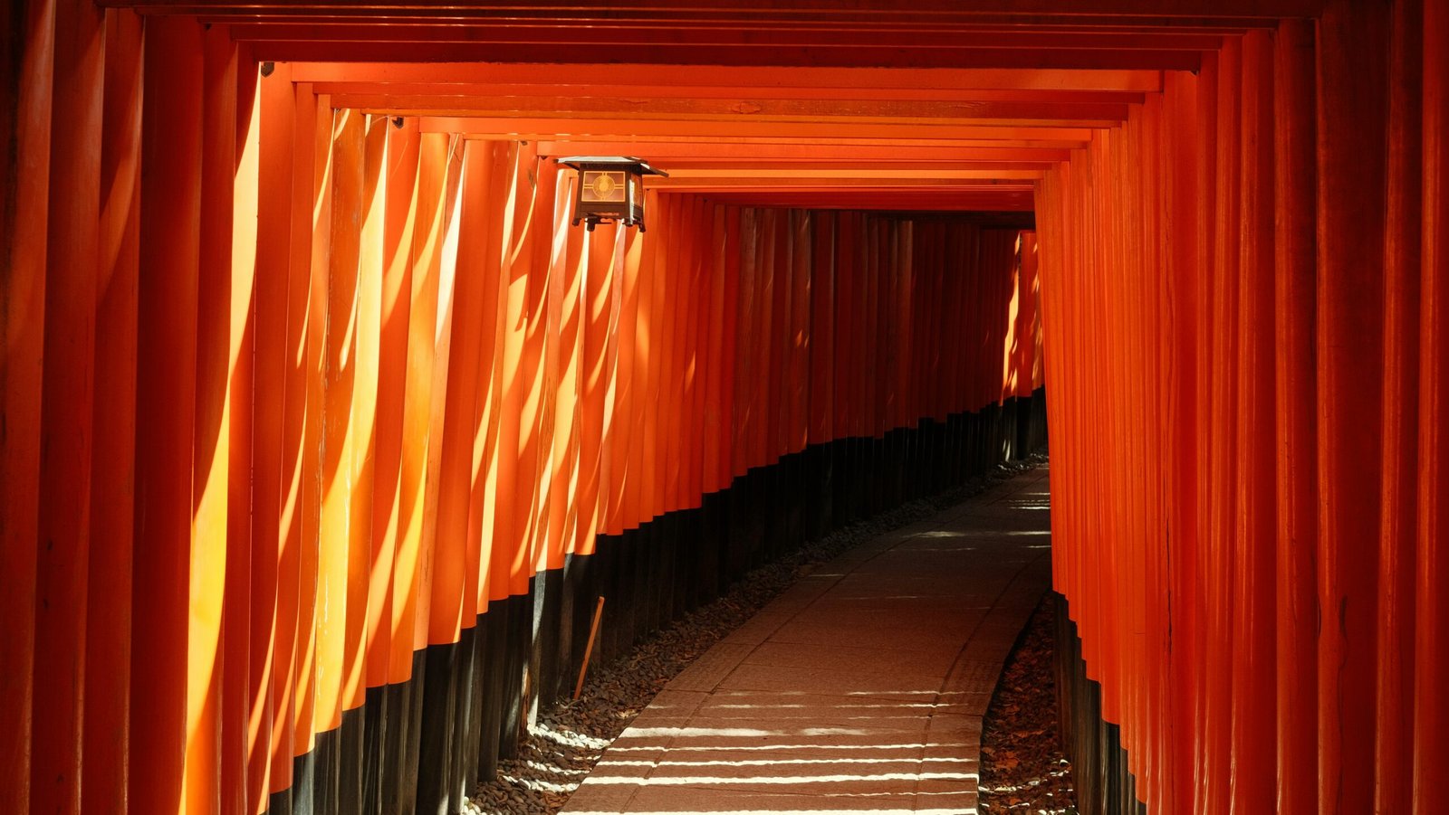 Hiking the Kumano Kodo Pilgrimage: A Spiritual and Cultural Journey in Japan